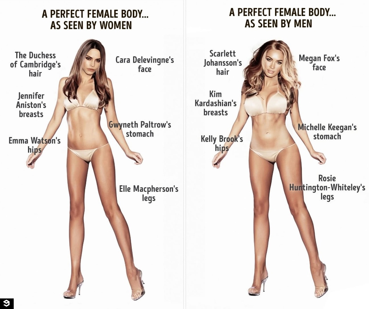Female bodys made for fucking