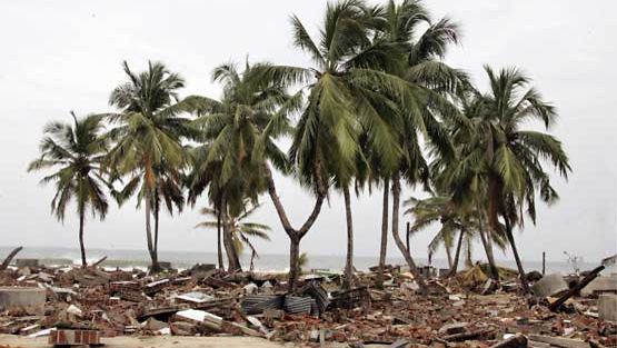 Palmut seisovat tuhoutunutta maisemaa vasten Sri Lankassa.