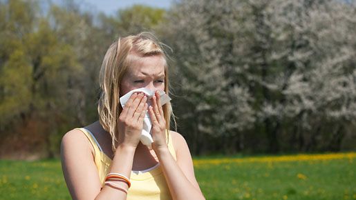 Allergialääkkeitä on napsittava säännöllisesti, jotta oireet vähenevät. 