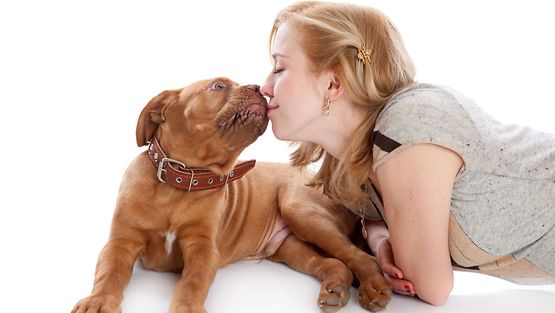 Onko koiran suukottaminen ok?