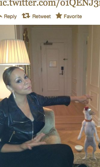 Mariah Careyn koira osaa temppuja.