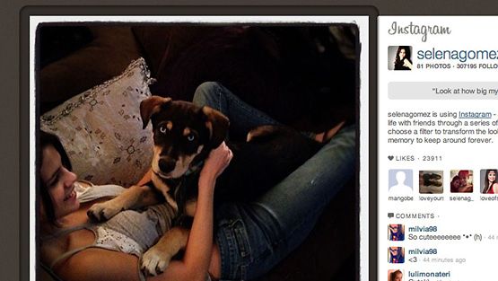Selena Gomez ja Baylor-koira