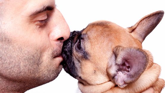 Onko koiran suukottaminen ok?