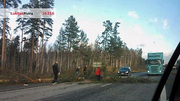Sivulliset raivaamassa puuta moottoritieltä Heinolassa. Kuvaaja: Juha Savimäki