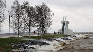 Myrskytuuli piiskasi ulkoilijoita Oulun Nallikarissa 17. marraskuuta 2013. Einoksi nimetty myrsky on aiheuttanut vahinkoa eri puolilla maata.