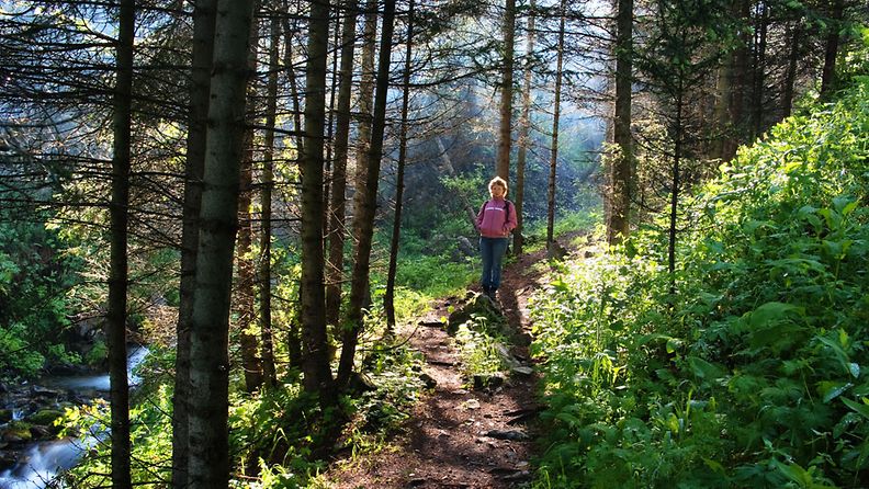 Nainen seisoo metsäpolulla