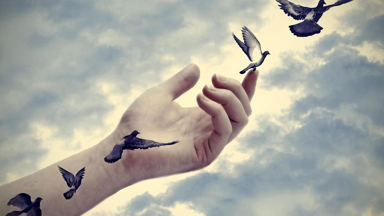 Tatuointi käsi linnut