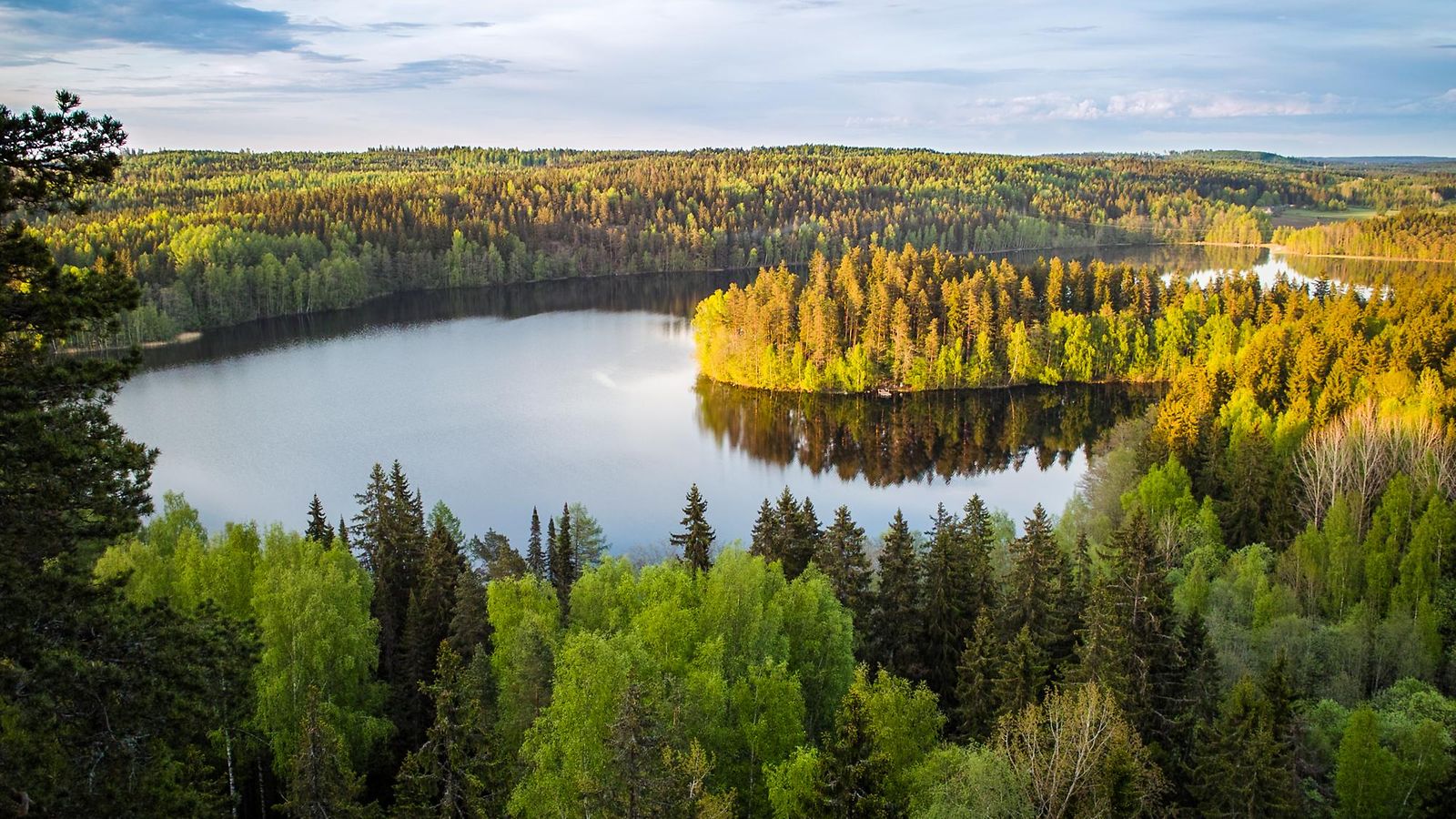 Suomi järvimaisema metsä