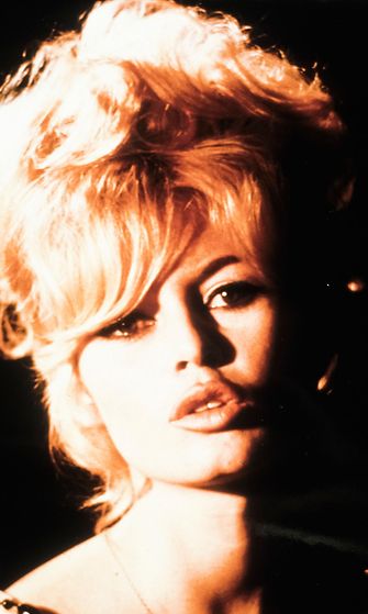 Brigitte bardot (2)