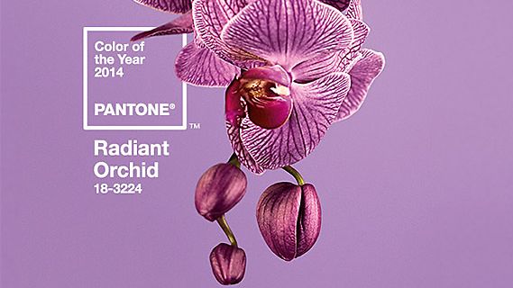 Radiant Orchid -trendiväri 2014