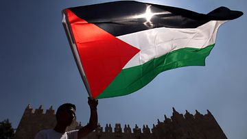 palestiina lippu
