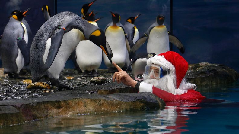 Joulupukki vieraili eläinten luona. Marineland, Antibes, Ranska. 19.12.2014.