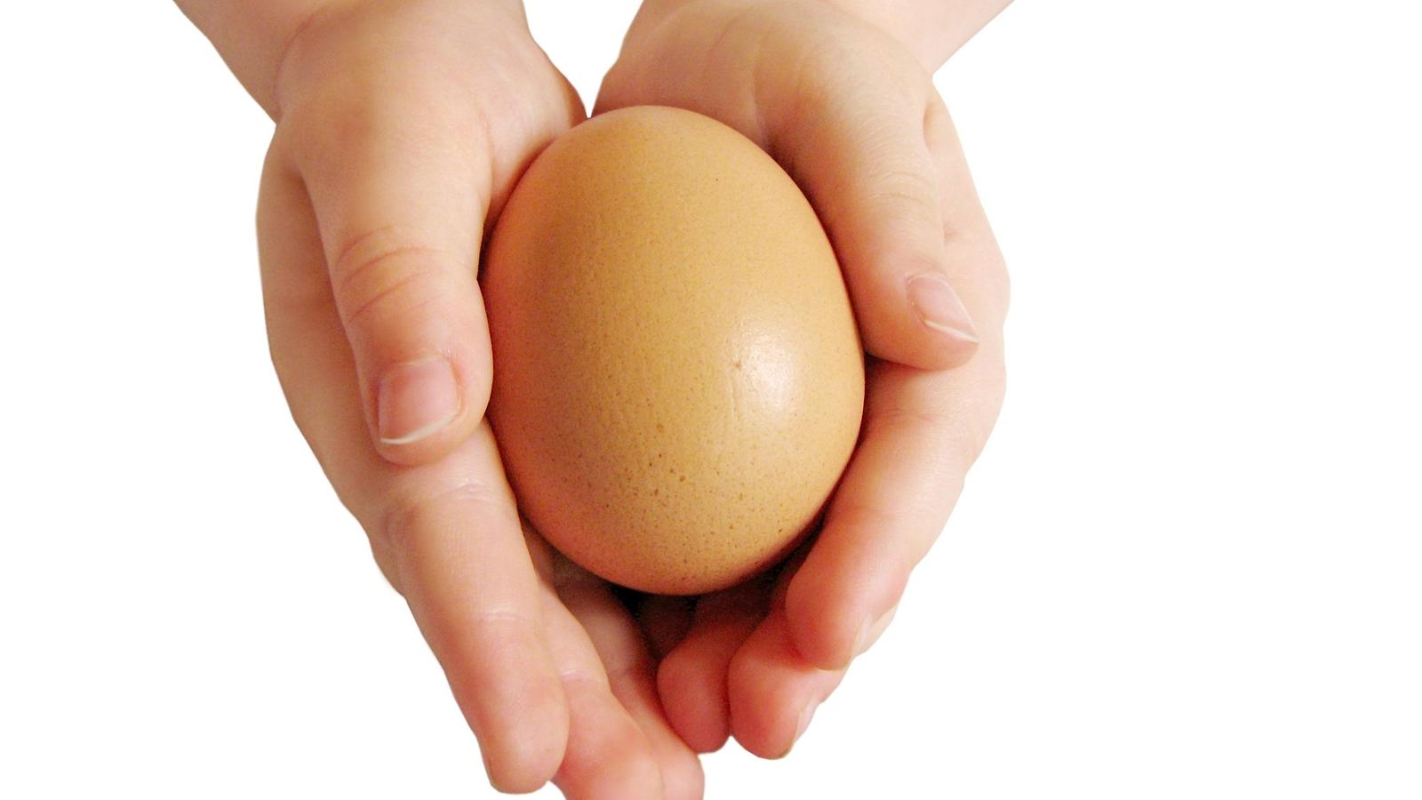 kananmuna, kädet