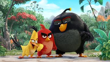 Angry Birds elokuva (12) (1)