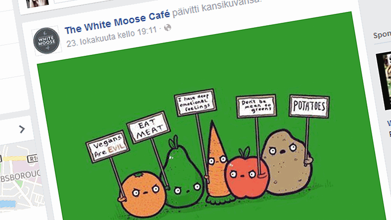 kansikuva, white moose cafe