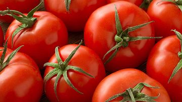 tomaatit (1)