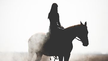 nainen, hevonen, ratsastaja