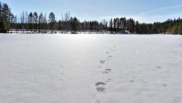 heikot jäät jäätilanne jäätynyt järvi 1.03603140