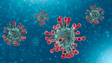 AOP koronavirus kuvitusta tältä virus näyttää