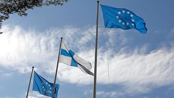 AOP EU Eurooppa Suomi lippu