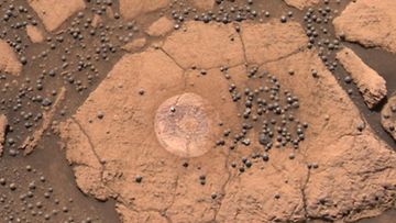 Mustikan näköisiä kivimuodostelmia Marsissa
