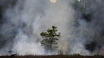 Metsäpalo riehui Amazonin sademetsässä Brasiliassa syyskuussa 2019.