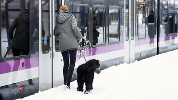Junamatkustajia lumisella Pasilan juna-asemalla Helsingissä 